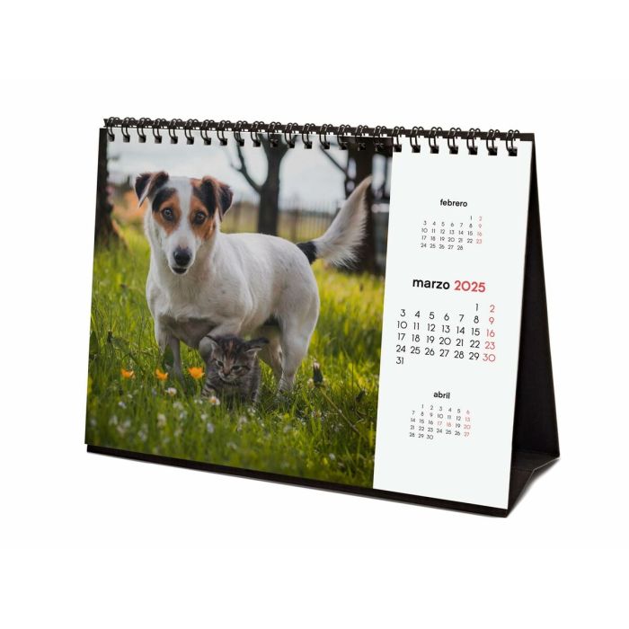 Calendario de Sobremesa Finocam PERROS Y GATOS Multicolor Papel 21 x 15 cm 2025 3