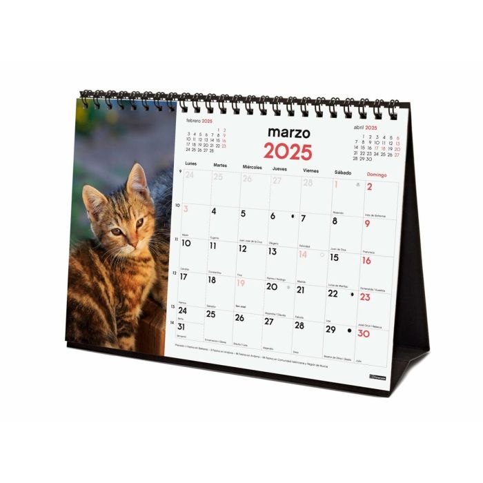 Calendario de Sobremesa Finocam GATITOS ENTRAÑABLES Multicolor Papel 21 x 15 cm 2025 4