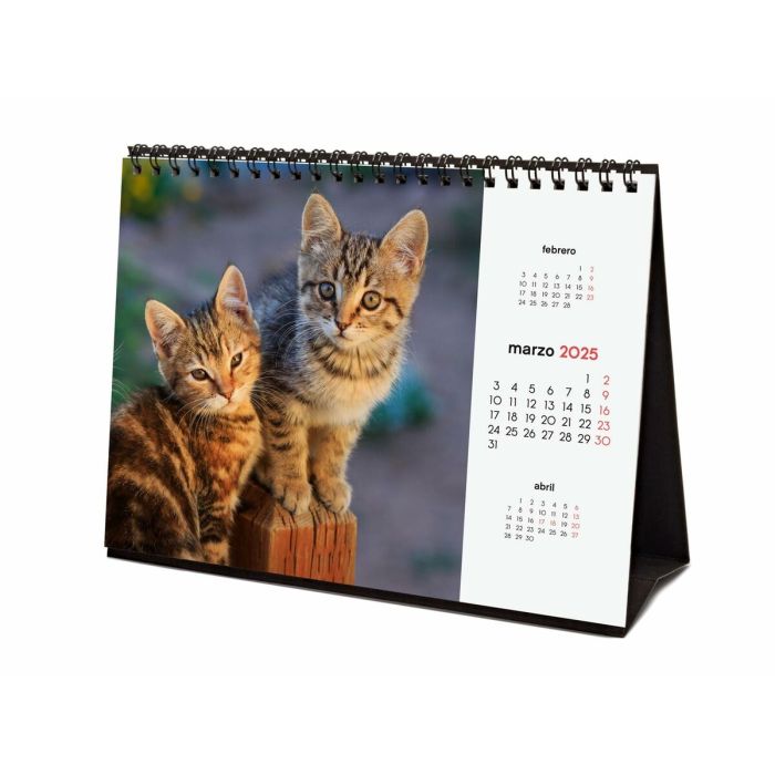 Calendario de Sobremesa Finocam GATITOS ENTRAÑABLES Multicolor Papel 21 x 15 cm 2025 3