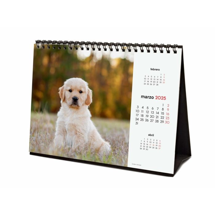 Calendario de Sobremesa Finocam CACHORROS CARIÑOSOS Multicolor Papel 21 x 15 cm 2025 3