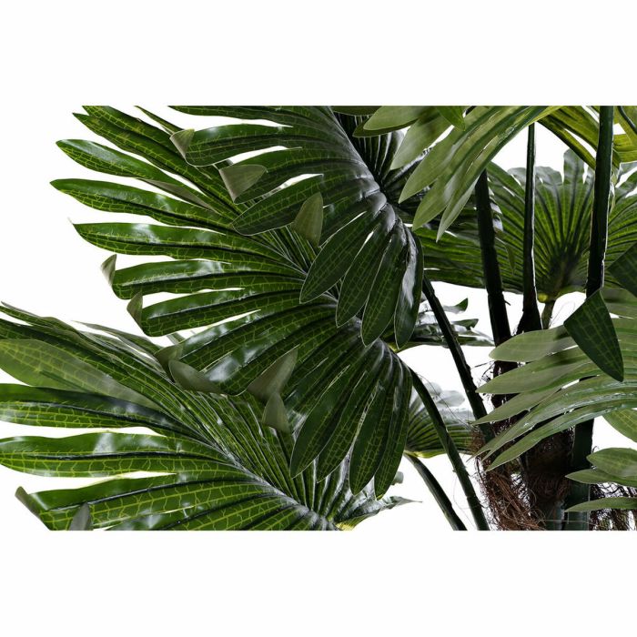 Planta Decorativa DKD Home Decor Negro Marrón Verde PVC Polipropileno (PP) (80 x 70 x 100 cm) 1