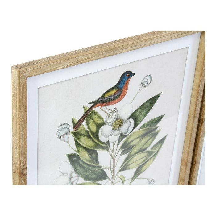 Cuadro DKD Home Decor Bird Tropical Pájaros (55 x 2,5 x 70 cm) (4 Unidades) 2