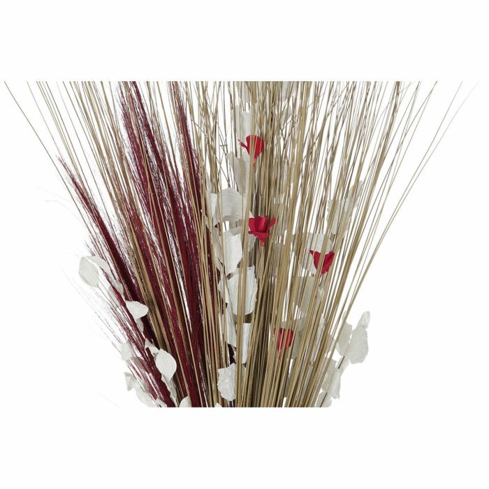 Ramo DKD Home Decor 8424001847471 Flores Natural Rojo Marrón Flor seca (40 x 40 x 150 cm) (2 Unidades) 1