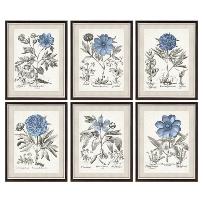 Cuadro DKD Home Decor Flores Moderno 50 x 2 x 65 cm (6 Piezas)