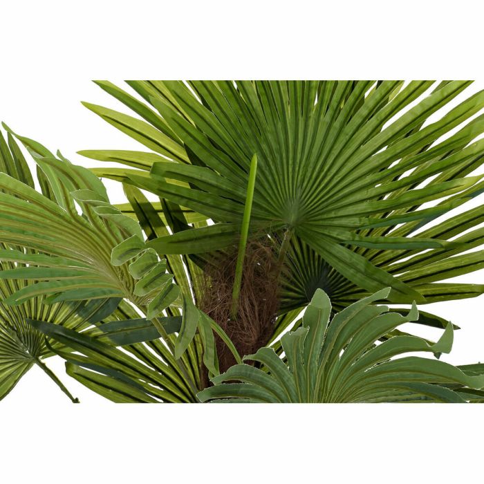 Planta Decorativa DKD Home Decor Palmera Verde PE (40 x 40 x 90 cm) 1