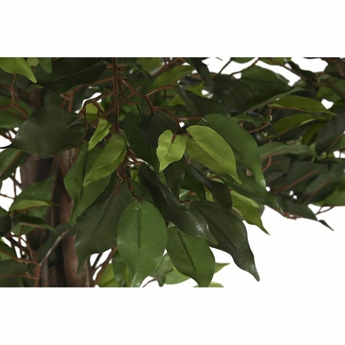 Planta Decorativa DKD Home Decor Polietileno Ficus 70 x 70 x 180 cm 3