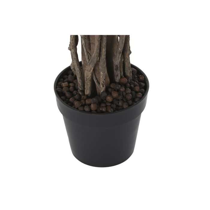 Planta Decorativa DKD Home Decor Polietileno Ficus 70 x 70 x 180 cm 1