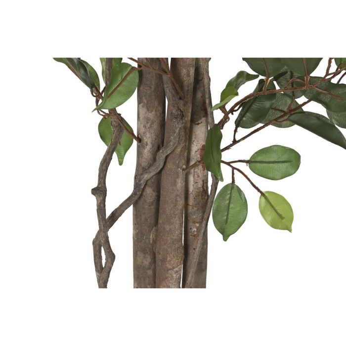 Planta Decorativa DKD Home Decor Polietileno Ficus 70 x 70 x 180 cm 2