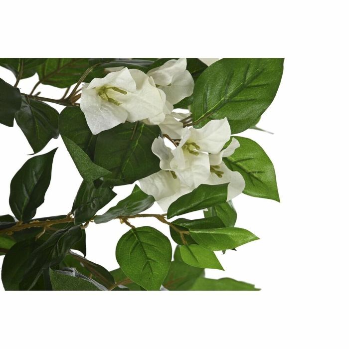 Planta Decorativa DKD Home Decor Blanco Verde PE (60 x 60 x 150 cm) 3