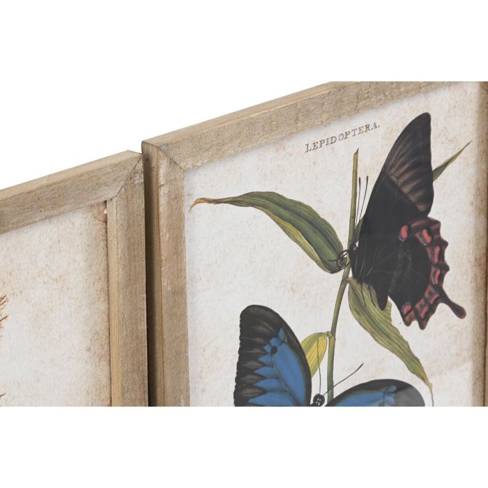 Cuadro DKD Home Decor Mariposas Shabby Chic (40 x 2 x 50 cm) (4 Unidades) 1