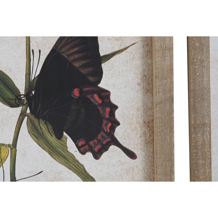 Cuadro DKD Home Decor Mariposas Shabby Chic (40 x 2 x 50 cm) (4 Unidades) 2