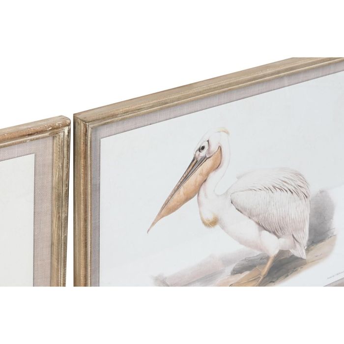 Cuadro DKD Home Decor 70 x 2,5 x 50 cm Tradicional Pájaros (6 Piezas) 2