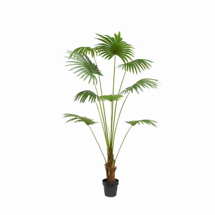 Planta Tropical DKD Home Decor Verde 90 x 210 x 90 cm (2 Unidades)