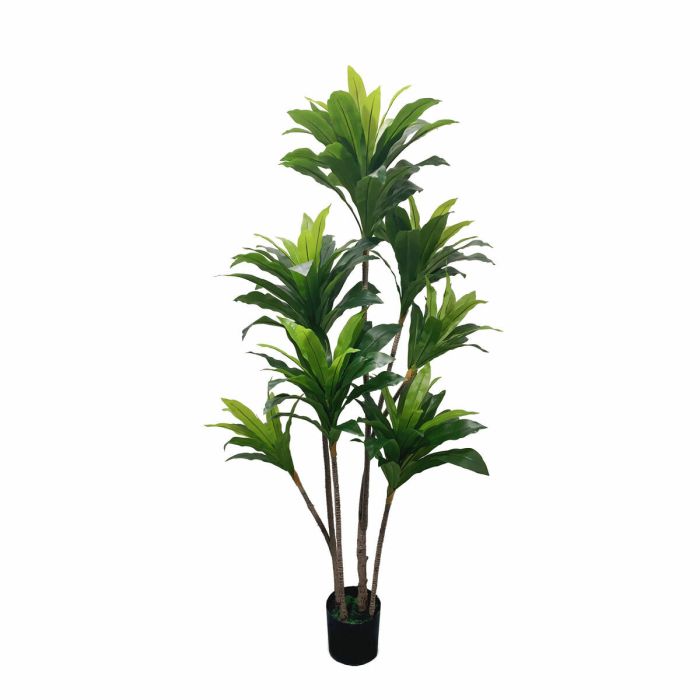 Planta DKD Home Decor Verde 90 x 200 x 90 cm (2 Unidades)