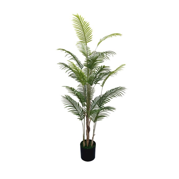 Planta Tropical DKD Home Decor Verde 60 x 170 x 60 cm (2 Unidades)