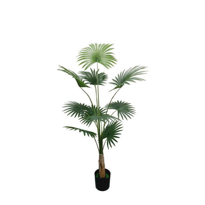 Planta Tropical DKD Home Decor Verde 80 x 180 x 80 cm (2 Unidades)