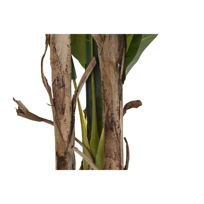 Planta Decorativa DKD Home Decor Bananera (90 x 90 x 250 cm) 1