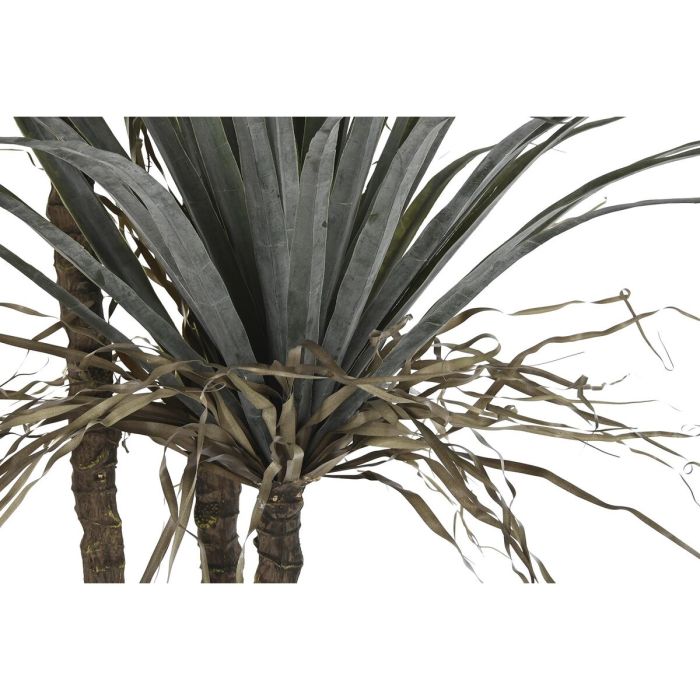 Planta Decorativa DKD Home Decor Palmera (90 x 90 x 230 cm) 3