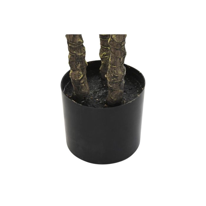 Planta Decorativa DKD Home Decor Palmera (90 x 90 x 230 cm) 1