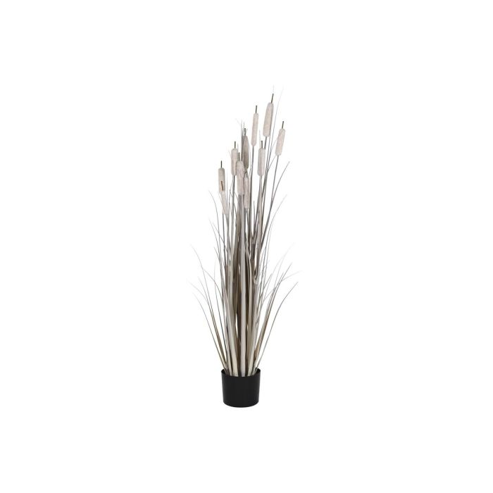 Planta Decorativa DKD Home Decor Juncos (35 x 35 x 120 cm)