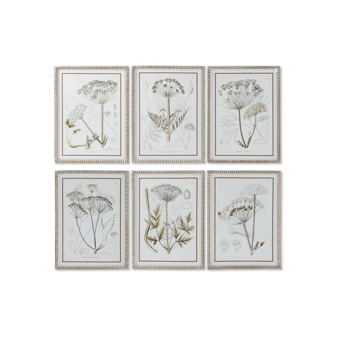 Cuadro DKD Home Decor Moderno Plantas botánicas 45 x 2,5 x 60 cm (6 Unidades)