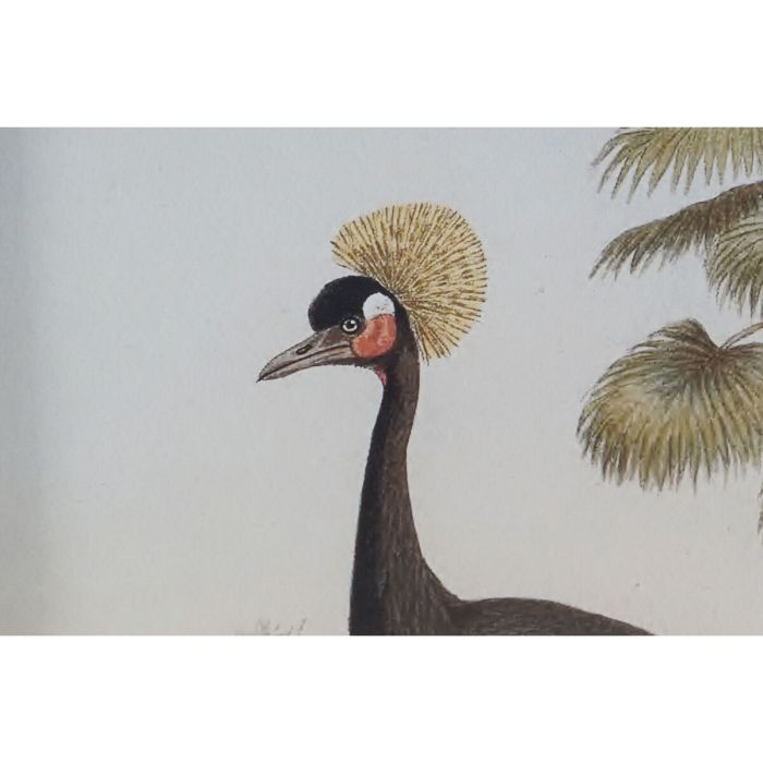 Cuadro DKD Home Decor Oriental Garza 45 x 3 x 60 cm (9 Unidades) 2