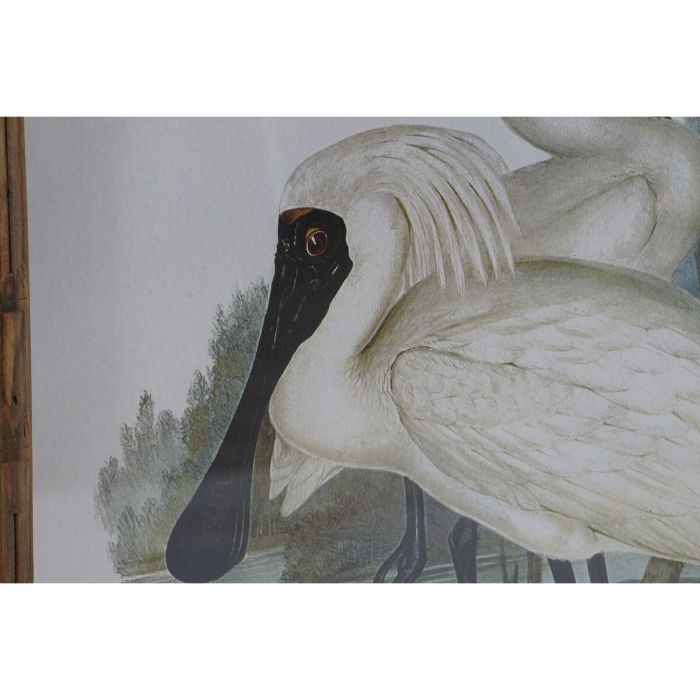 Cuadro DKD Home Decor Pájaros Oriental 45 x 3 x 60 cm (4 Unidades) 2