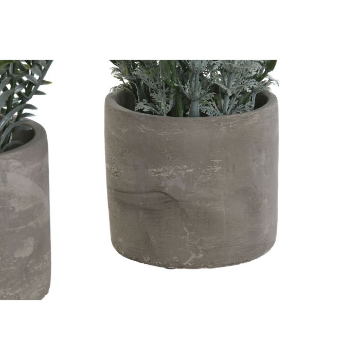 Planta Decorativa Home ESPRIT Polietileno Cemento 13 x 13 x 24 cm (3 Unidades) 1