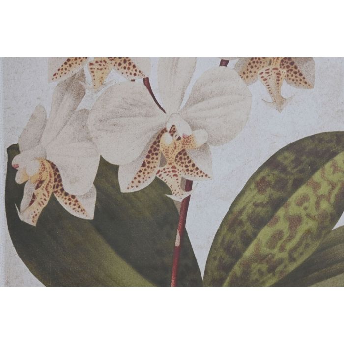 Cuadro Home ESPRIT Tropical Orquídea 50 x 2,5 x 70 cm (2 Unidades) 2