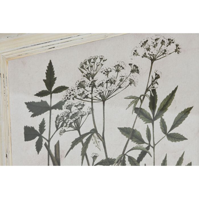 Cuadro Home ESPRIT Shabby Chic Plantas botánicas 40 x 1,5 x 50 cm (6 Unidades) 2