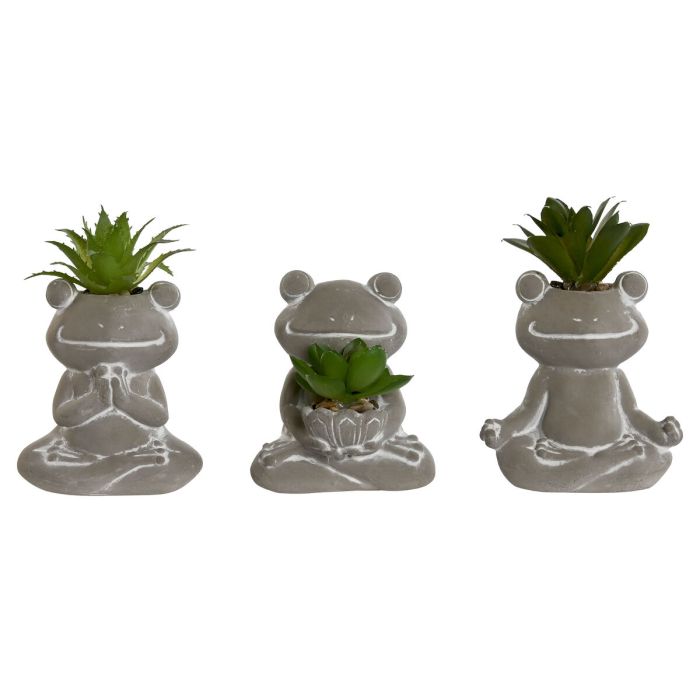 Planta DKD Home Decor Gris Verde 5 x 11 x 7.5 cm (3 Unidades)