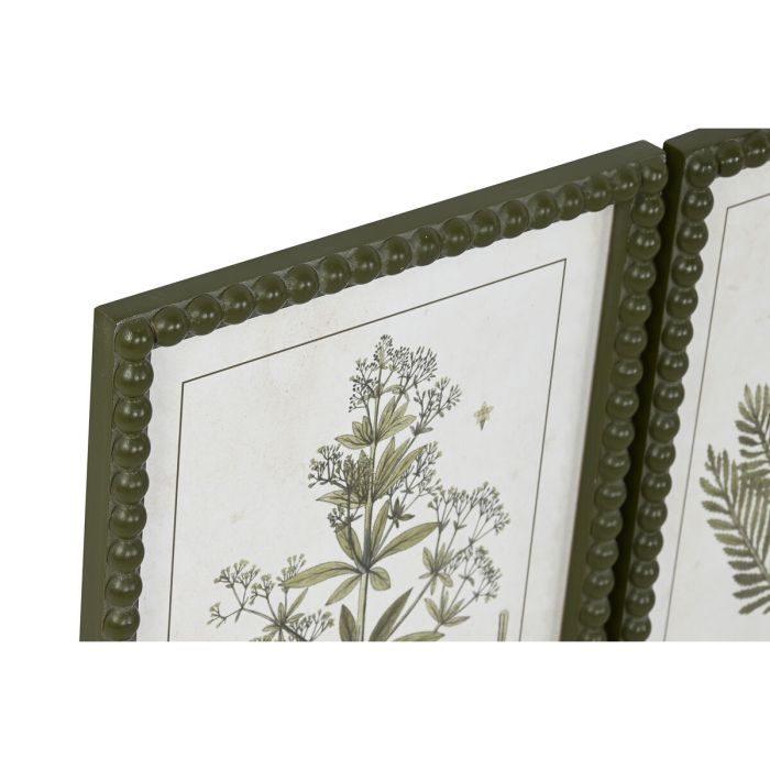 Cuadro Home ESPRIT Verde Beige Shabby Chic Plantas botánicas 30 x 2,5 x 40 cm (4 Unidades) 3