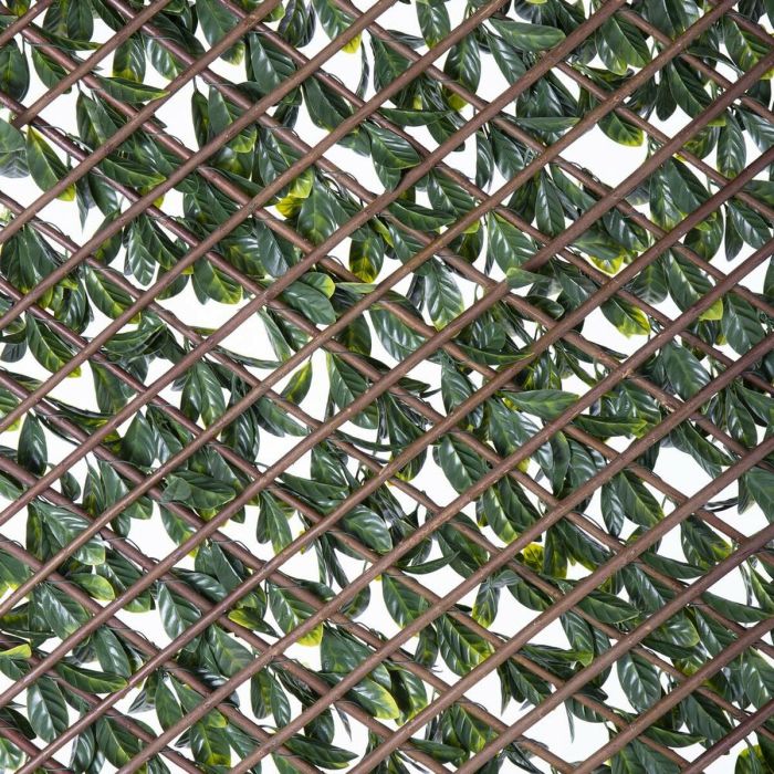 Celosía Natural Hiedra Mimbre Bambú 2 x 200 x 100 cm 1