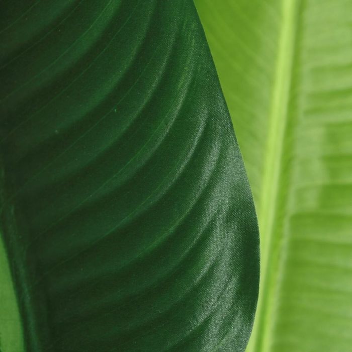 Planta Decorativa Verde PVC 150 cm Ave del paraíso 3