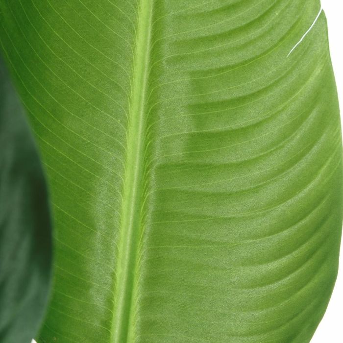 Planta Decorativa Verde PVC 150 cm Ave del paraíso 2