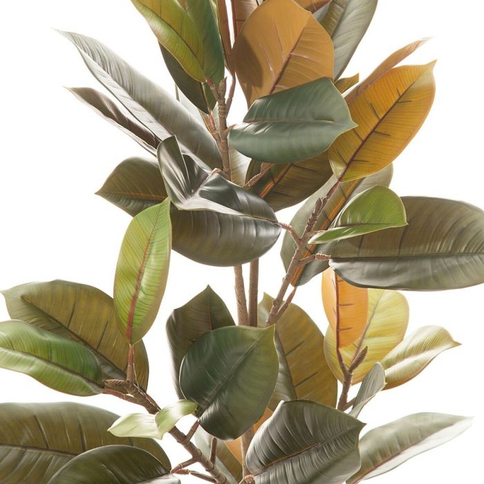 Planta Decorativa PVC Hierro Ficus 36 x 37 x 90 cm 2