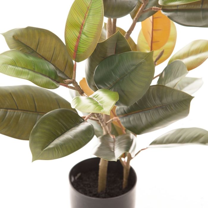 Planta Decorativa PVC Hierro Ficus 36 x 37 x 90 cm 1