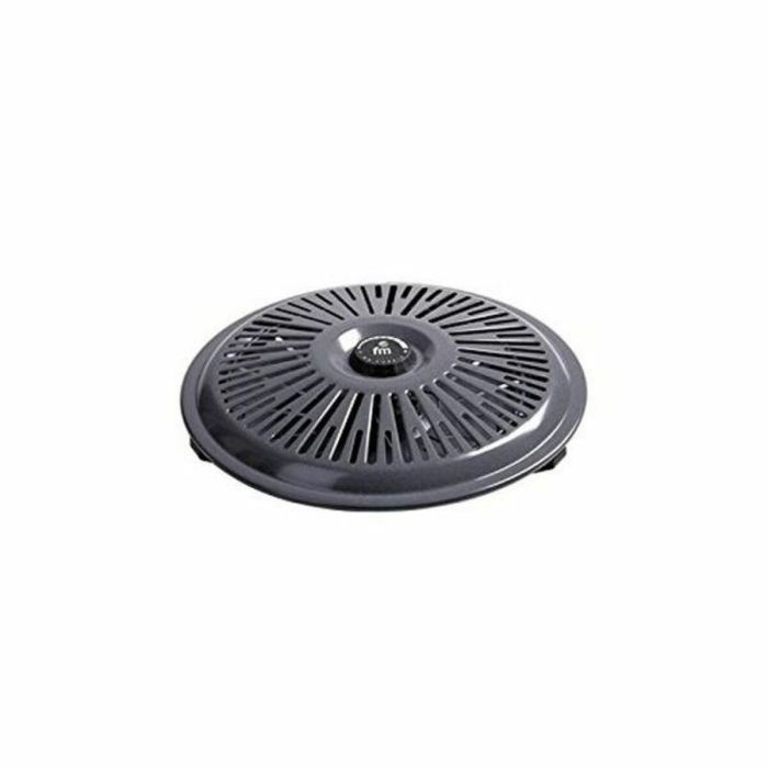 Brasero Grupo FM B-750 700W Gris 700 W 1