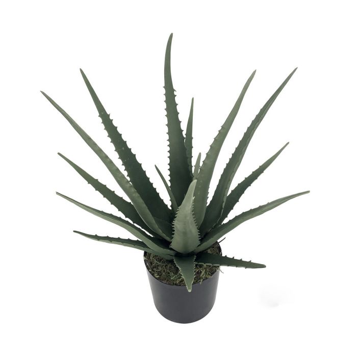 Planta Decorativa Alexandra House Living Plástico Aloe Vera 11 x 11 x 39 cm 3