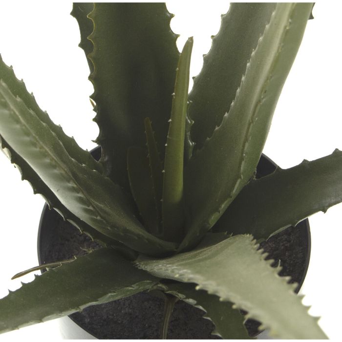 Planta Decorativa Alexandra House Living Plástico Aloe Vera 11 x 11 x 39 cm 1