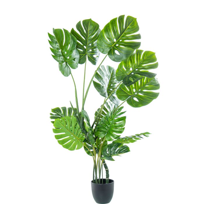 Planta Decorativa Alexandra House Living Plástico Monstera 150 cm