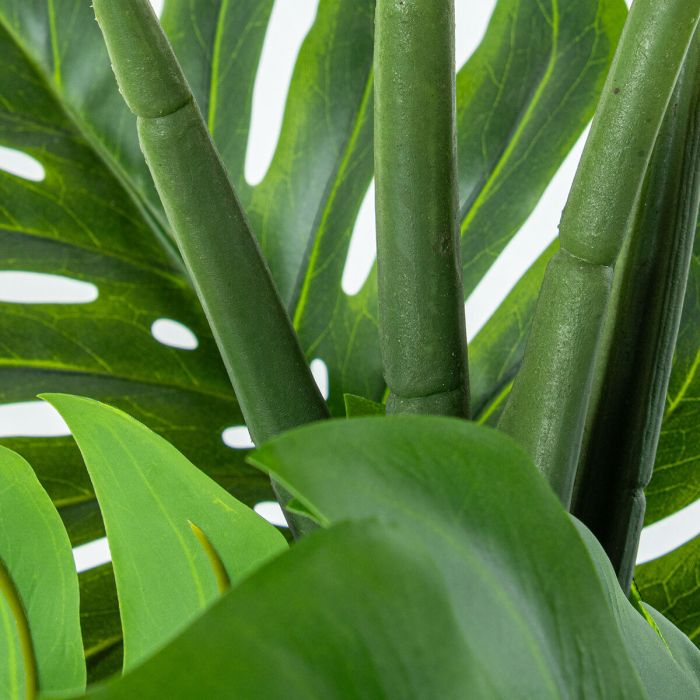 Planta Decorativa Alexandra House Living Plástico Monstera 150 cm 4