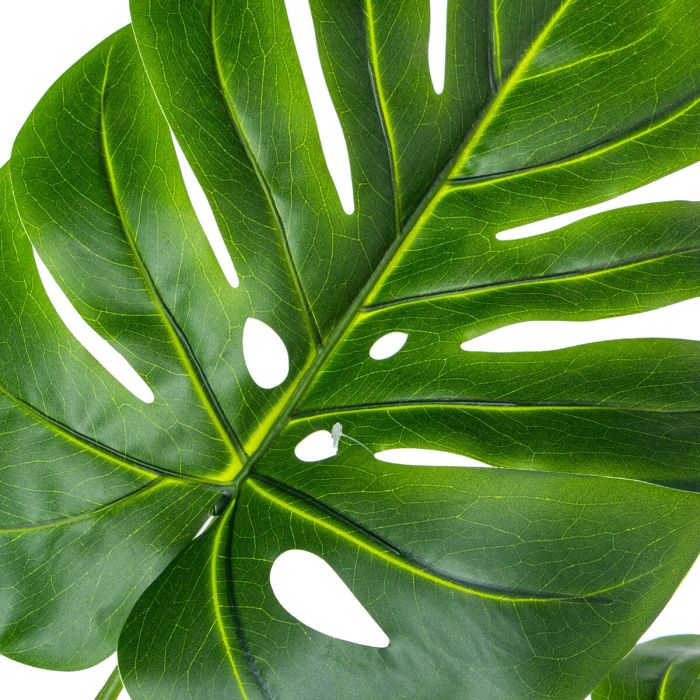 Planta Decorativa Alexandra House Living Plástico Monstera 150 cm 2