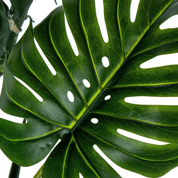 Planta Decorativa Alexandra House Living Plástico Monstera 170 cm 2