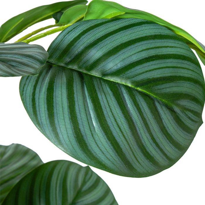 Planta Decorativa Alexandra House Living Plástico Calathea 90 cm 3