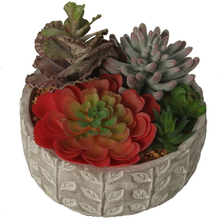 Planta Decorativa Alexandra House Living Plástico Suculenta 20 x 21 x 18 cm 1