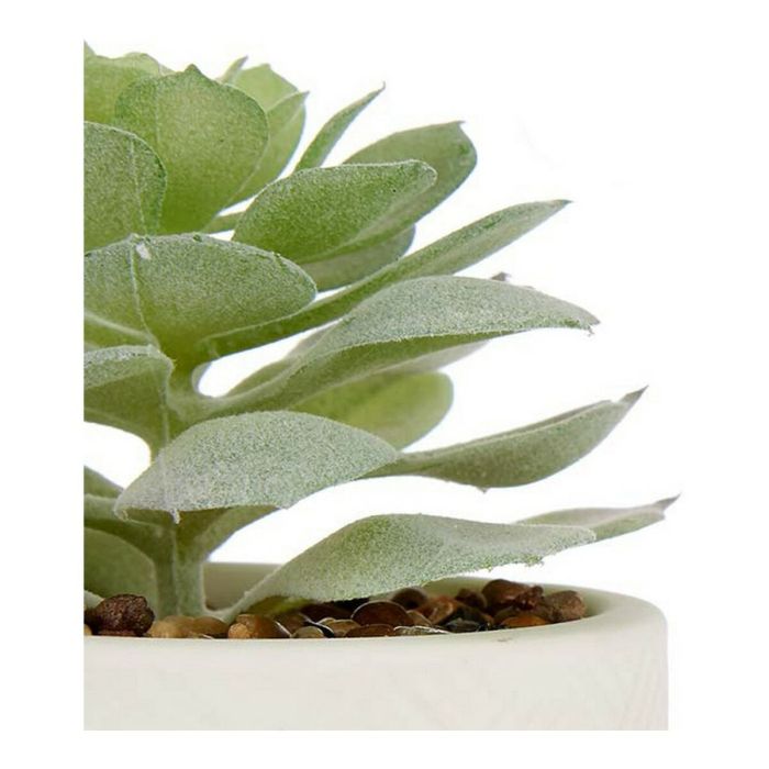 Planta Decorativa Blanco Verde Plástico 1