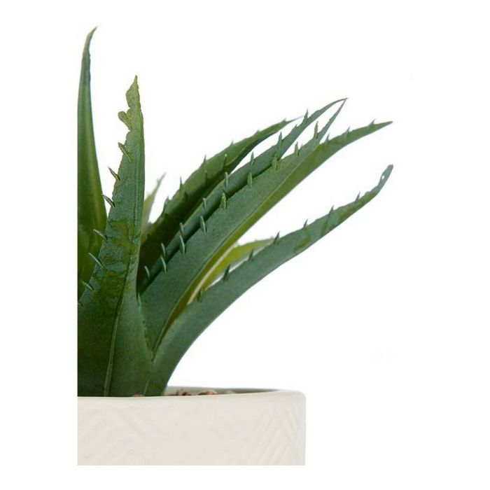 Planta Decorativa Blanco Verde Plástico 1