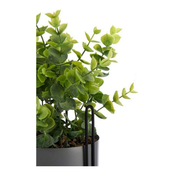 Planta Decorativa Gris Eucalipto Con soporte Metal Plástico (13 x 40 x 13 cm) 1