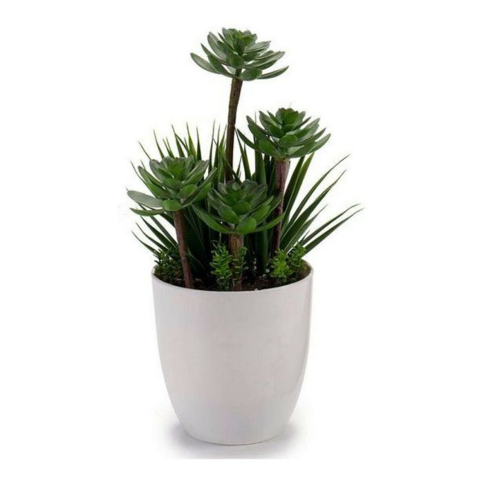Maceta Garden Redonda Surtidos Modelos Ibergarden 14X30CM (8 Unidades) Maceta Garden Redonda Surtidos Modelos Ibergarden 14X30CM (8 Unidades)